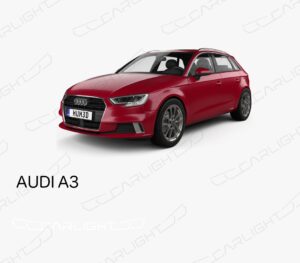 A3