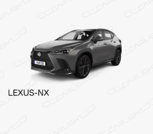 NX