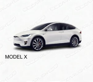 Model X
